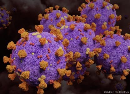 Le virus Sars-CoV-2 circulait en France dès novembre 2019